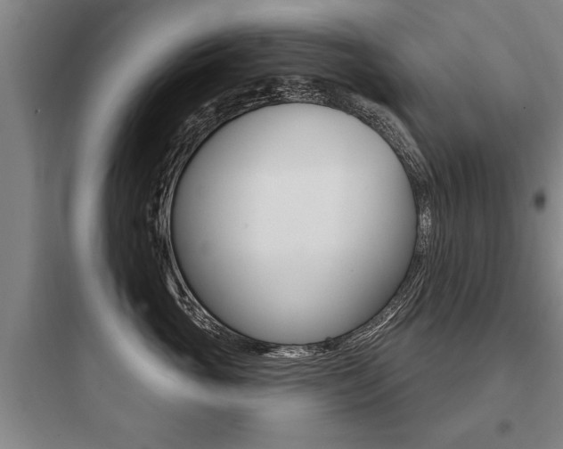 X0000097950765200803241019