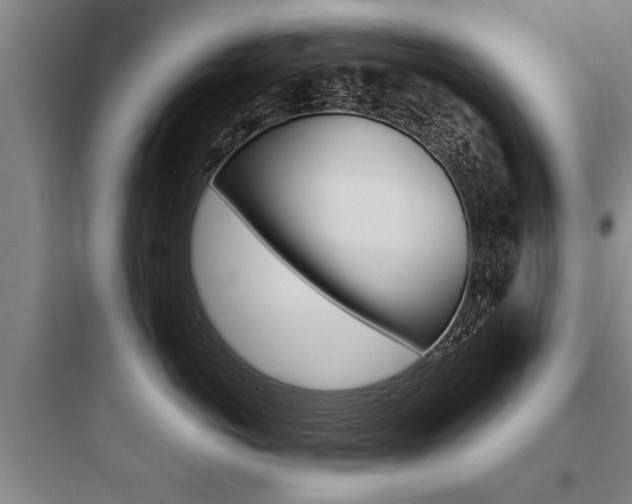 X0000097950766200803241019