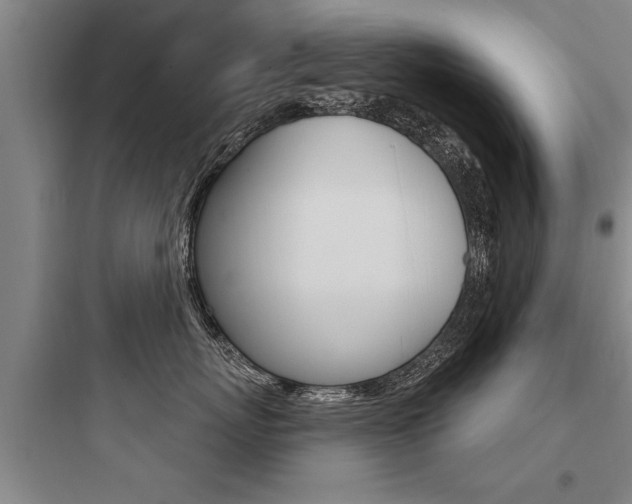 X0000097950767200803241019