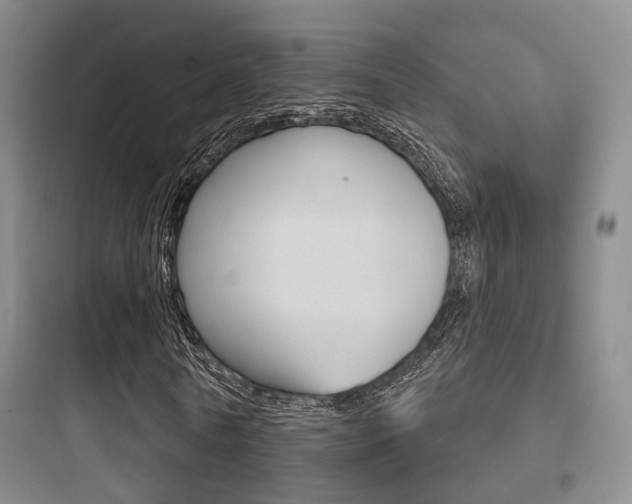 X0000097950770200803241018