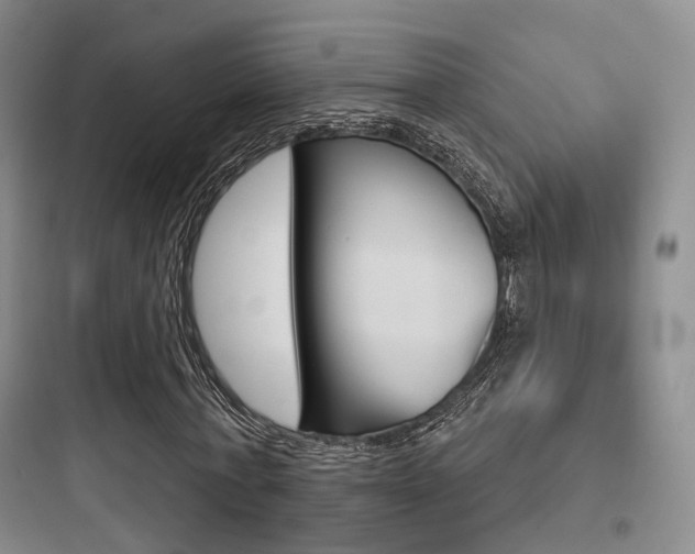 X0000097950771200803241018