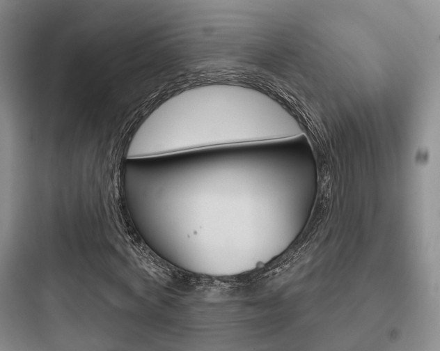 X0000097950772200803241018