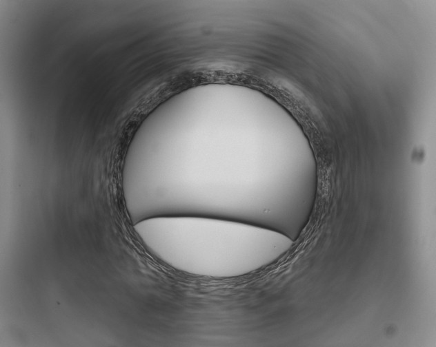 X0000097950774200803241018