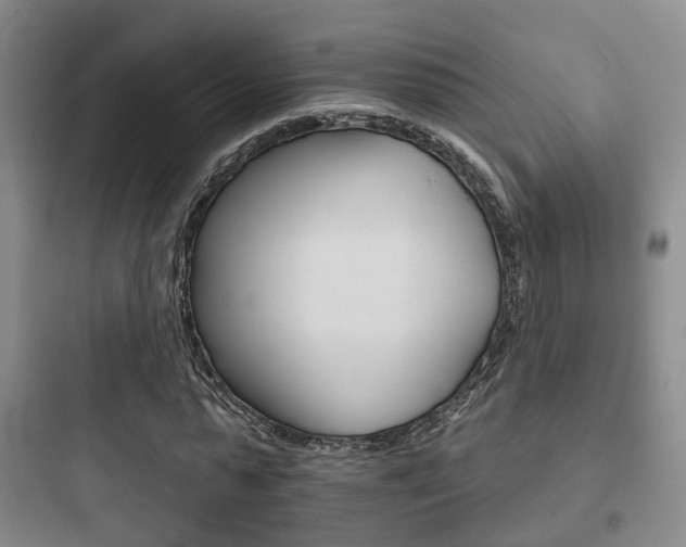 X0000097950775200803241018