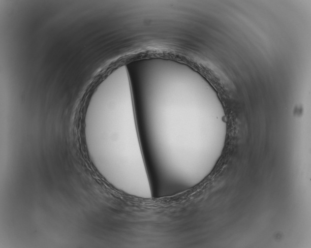 X0000097950776200803241018