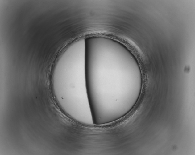 X0000097950777200803241018