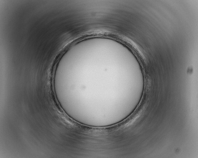 X0000097950778200803241018