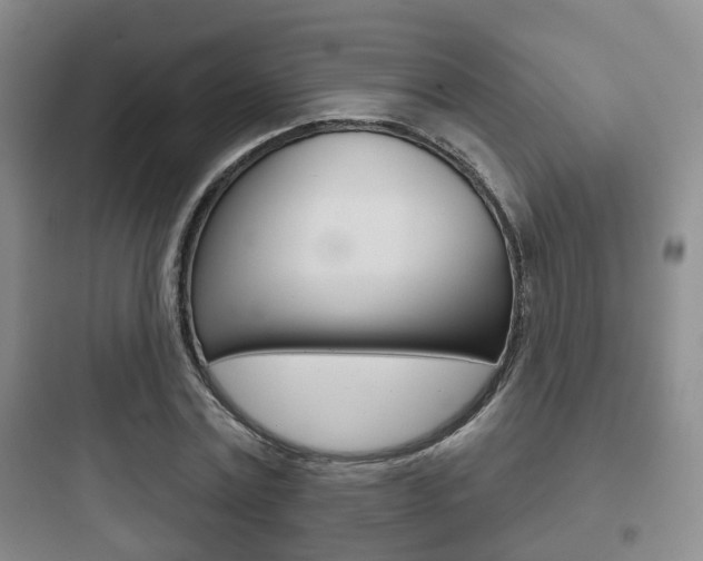 X0000097950779200803241018