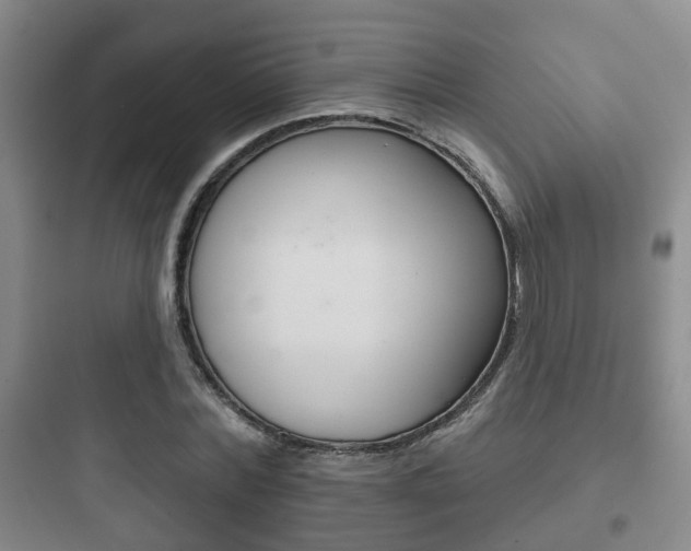 X0000097950780200803241018