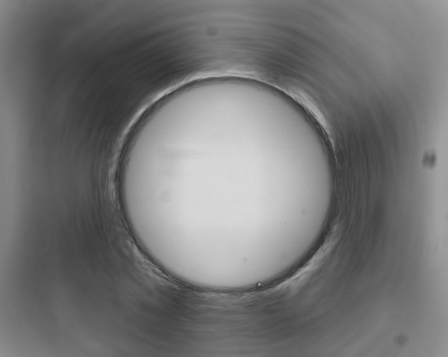 X0000097950781200803241018