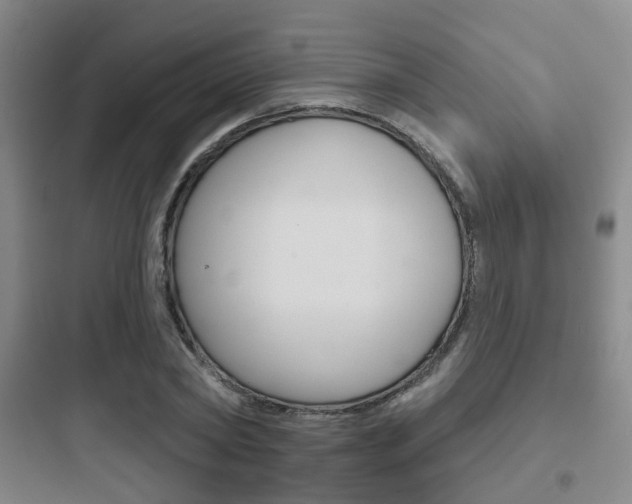 X0000097950782200803241018