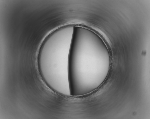 X0000097950783200803241018