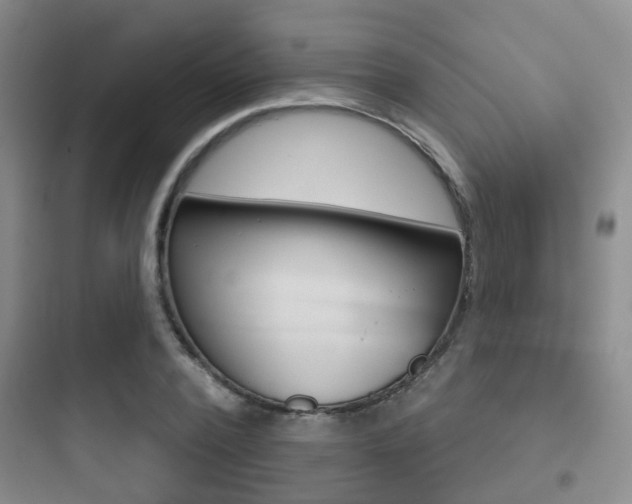 X0000097950784200803241018