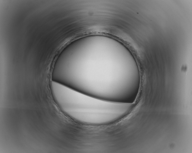 X0000097950785200803241018