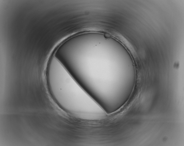 X0000097950787200803241018