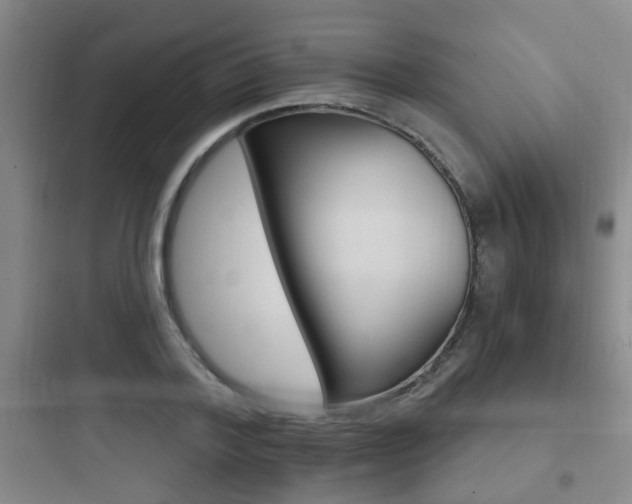 X0000097950788200803241018
