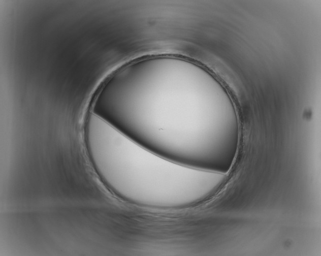 X0000097950789200803241018