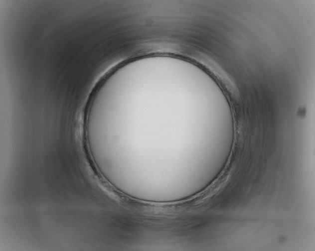 X0000097950790200803241018