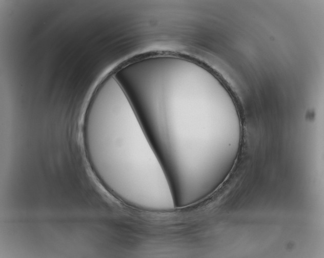 X0000097950791200803241018