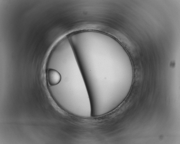 X0000097950792200803241018