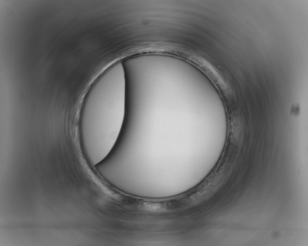 X0000097950794200803241018