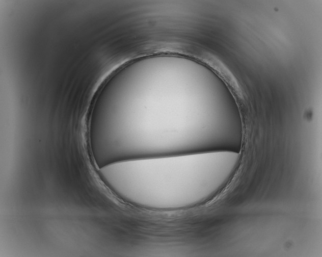 X0000097950798200803241017