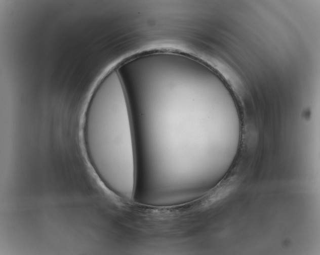 X0000097950799200803241017
