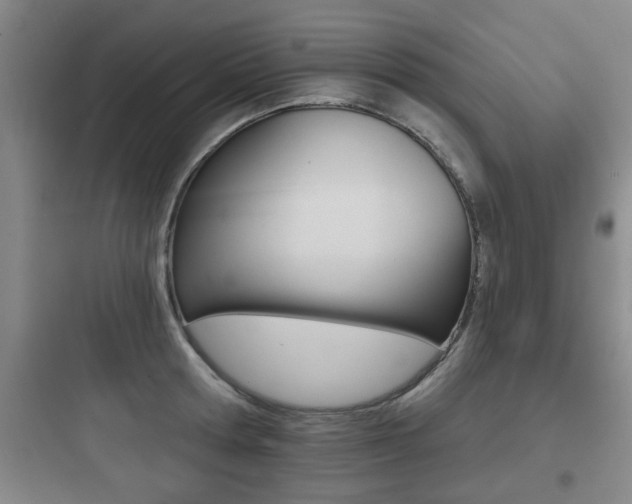 X0000097950802200803241017