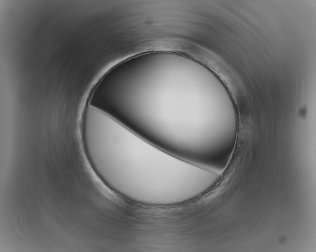 X0000097950803200803241017