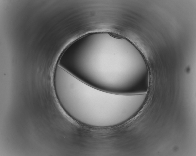 X0000097950805200803241017