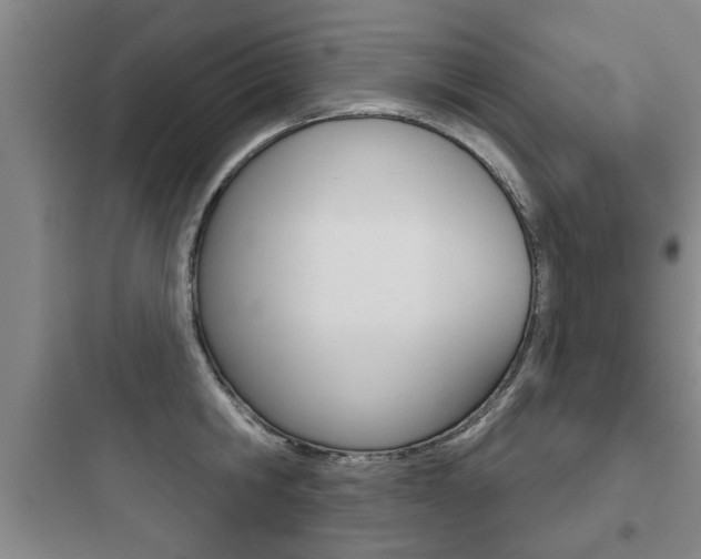 X0000097950806200803241017