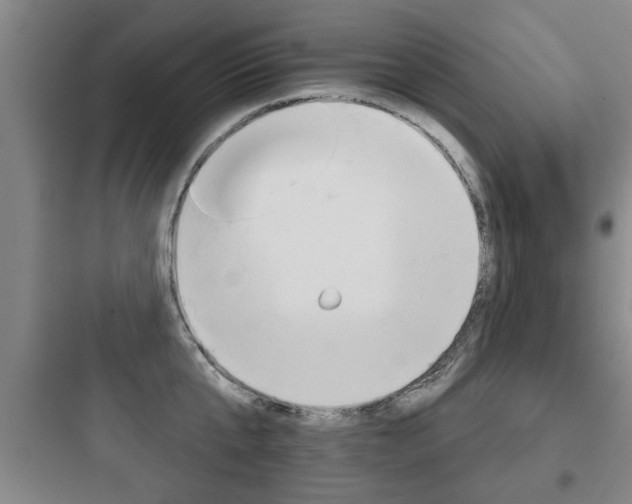 X0000097950807200803241017