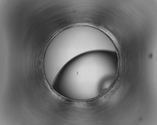 X0000097950809200803241017