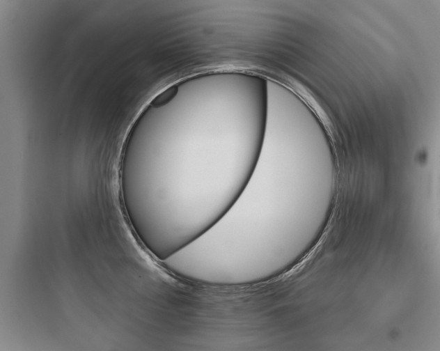 X0000097950810200803241017