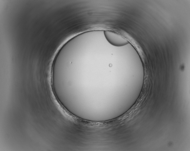 X0000097950811200803241017