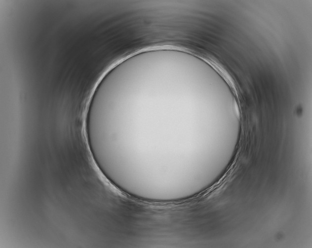 X0000097950813200803241017
