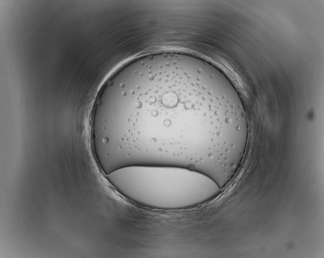 X0000097950814200803241017