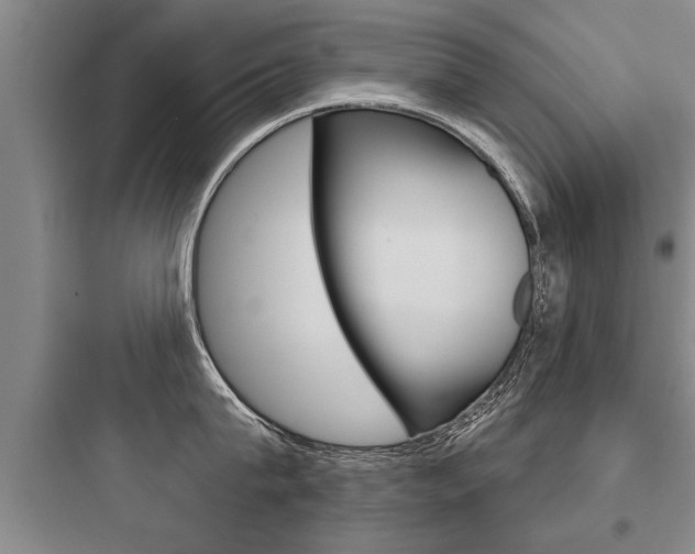 X0000097950815200803241017