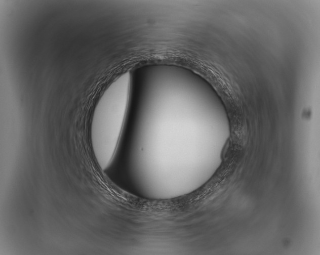 X0000097950817200803241016