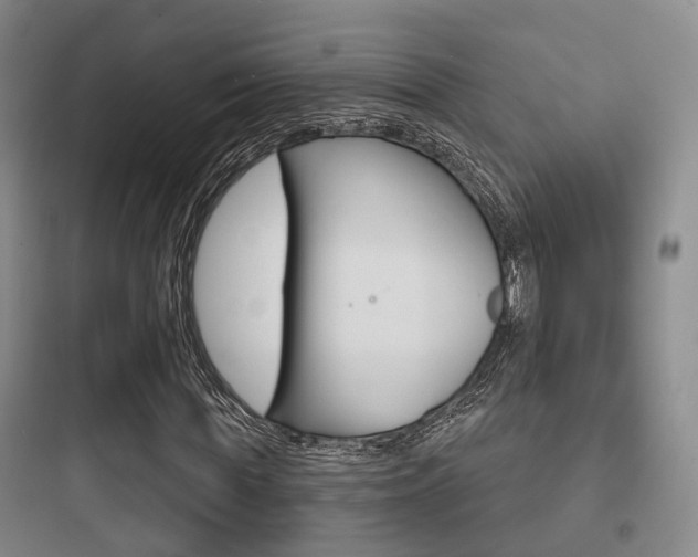 X0000097950819200803241017