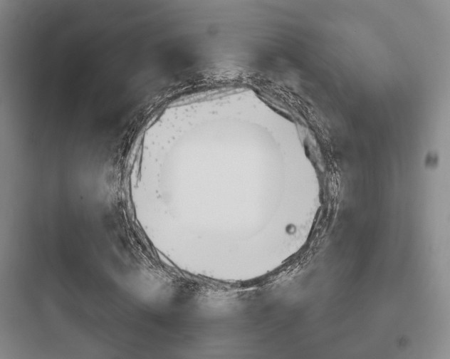 X0000097950820200803241017