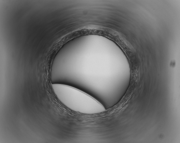 X0000097950821200803241017