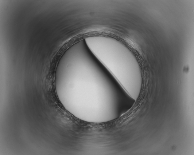 X0000097950822200803241017