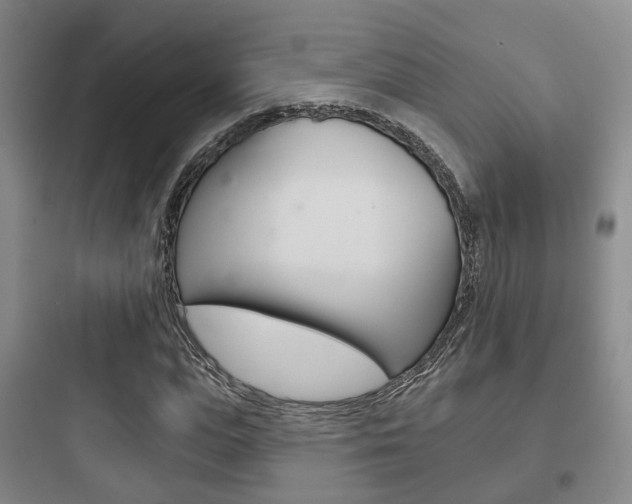 X0000097950823200803241017