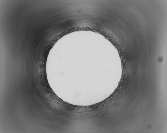 X0000097950824200803241017