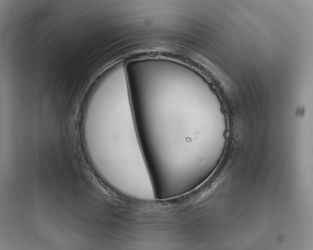 X0000097950826200803241017