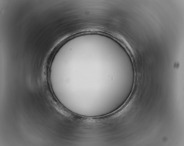 X0000097950827200803241017