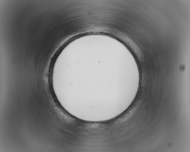 X0000097950828200803241017