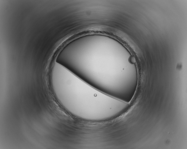 X0000097950829200803241017