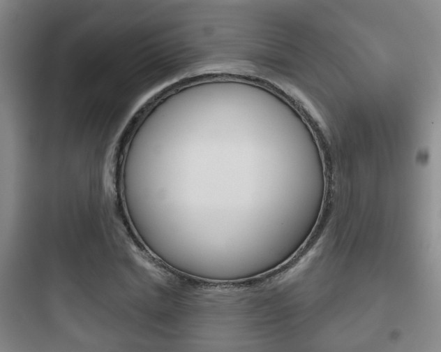 X0000097950830200803241017